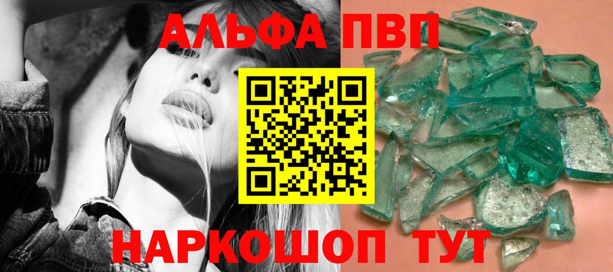 Alfa_PVP СК КРИС Великий Новгород
