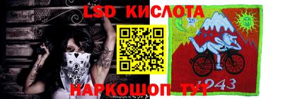 гидра Вязники