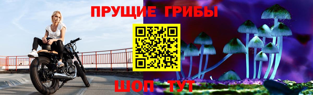 Псилоцибиновые грибы мухоморы Великий Новгород